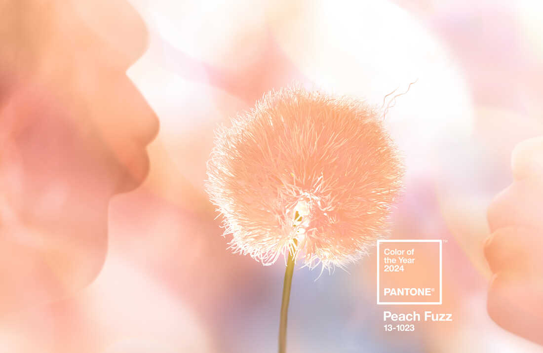 Pantone's Color of the Year, peach fuzz